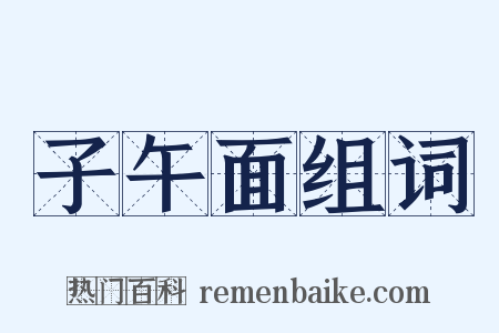 子午面组词是什么意思的图片